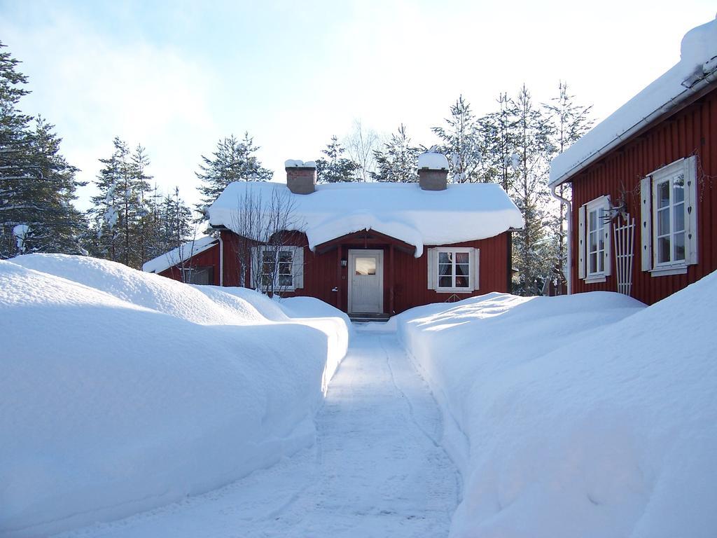 Nya Skogsgarden Marbacken